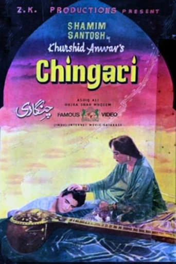 Póster de Chingari