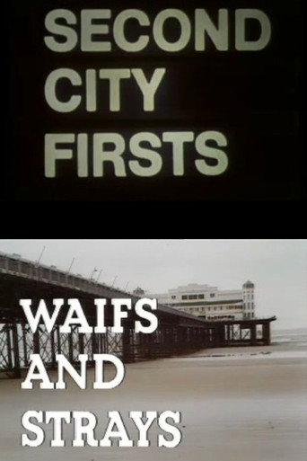 Póster de Waifs and Strays