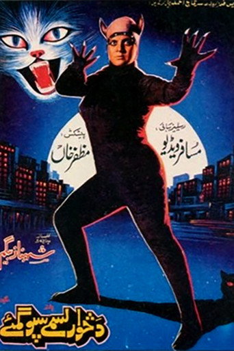 Póster de دڅوارلسمی سپوګمئی