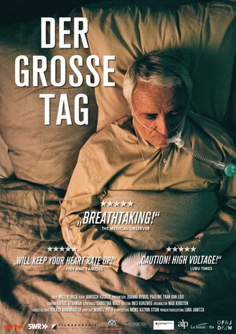 Póster de Der große Tag
