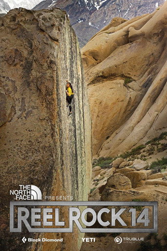 Póster de The High Road