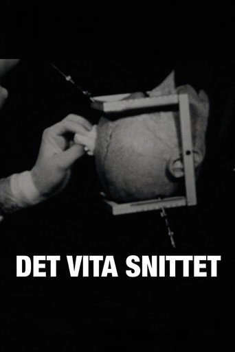 Póster de Det vita snittet