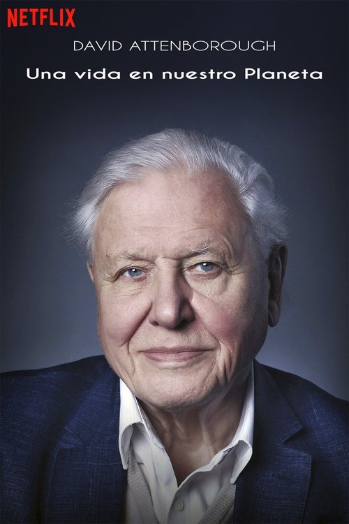 Póster de David Attenborough: Una vida en nuestro planeta