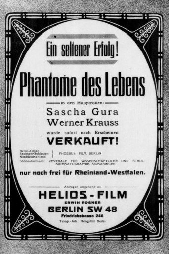 Póster de Phantome des Lebens