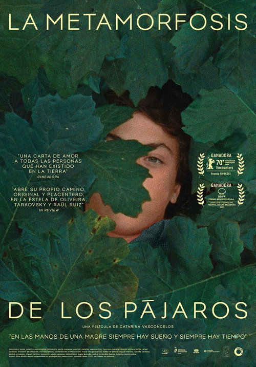 Póster de A Metamorfose dos Pássaros