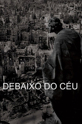 Póster de Debaixo do Céu