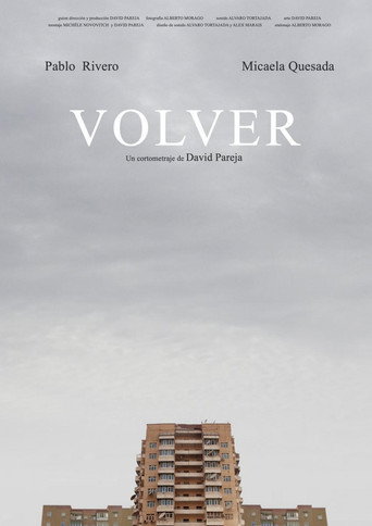Póster de Volver