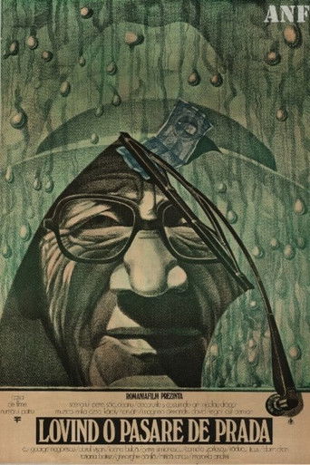 Póster de Lovind o pasăre de pradă
