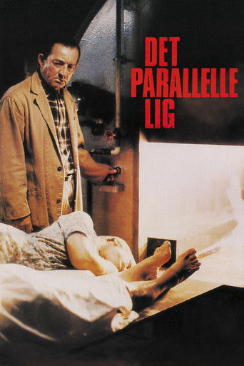 Póster de Det parallelle lig