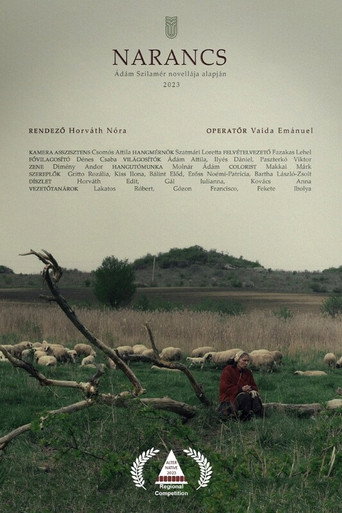 Póster de Narancs