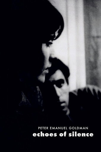 Póster de Echoes of Silence