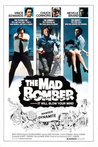 Póster de The Mad Bomber