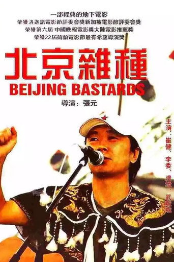 Póster de Beijing Bastards