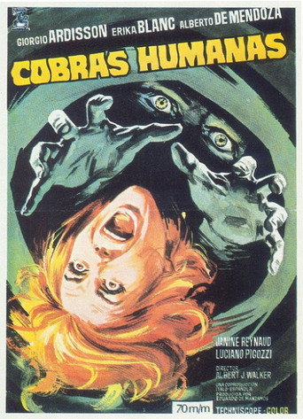 Póster de L'uomo più velenoso del cobra