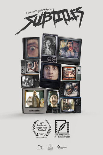 Póster de Subtitles