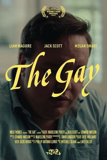 Póster de The Gay