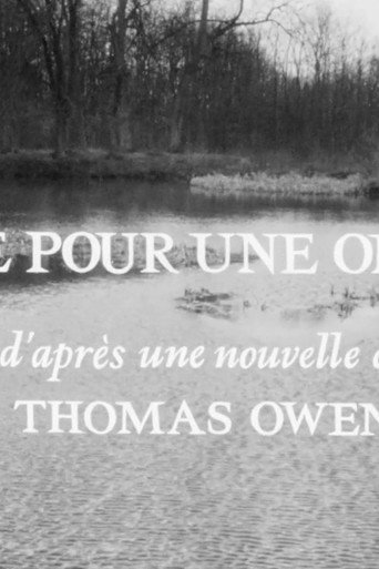 Póster de Pitié pour une ombre