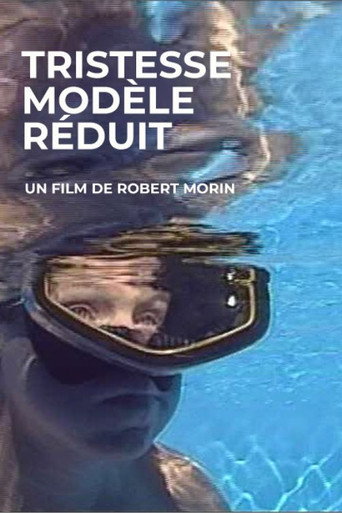 Póster de Tristesse modèle réduit