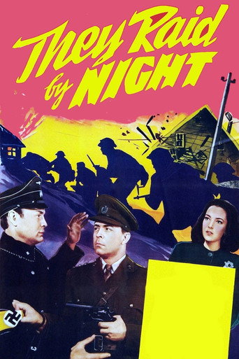 Póster de They Raid by Night