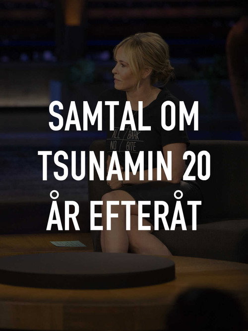 Póster de Samtal om tsunamin 20 år efteråt