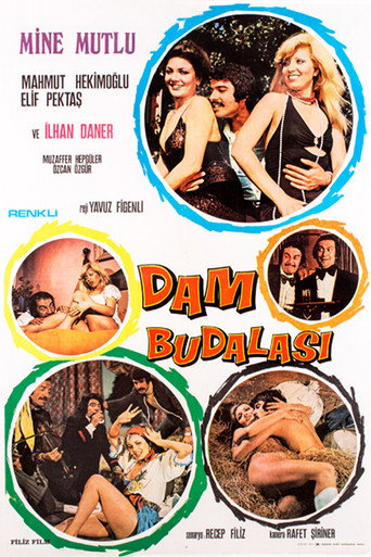 Póster de Dam Budalası