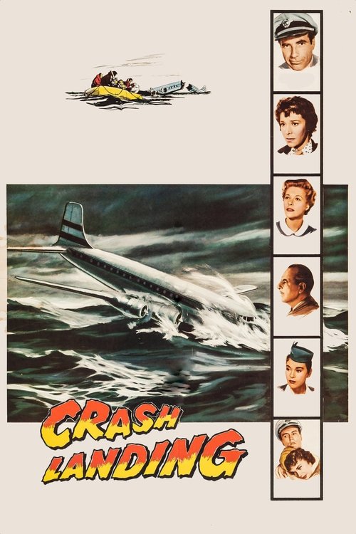Póster de Crash Landing