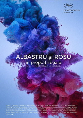 Póster de Albastru si rosu, in proportii egale