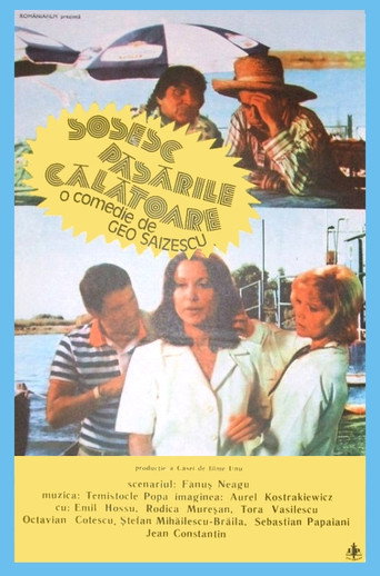 Póster de Sosesc păsările călătoare