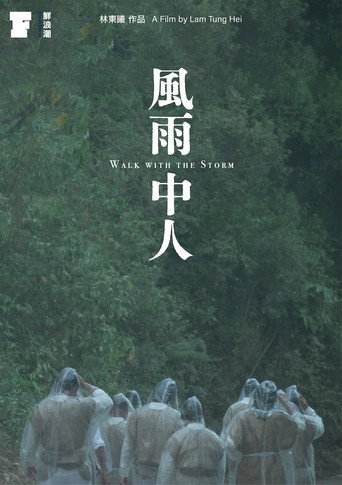 Póster de 風雨中人