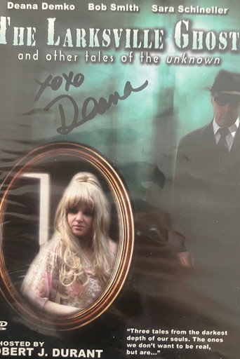 Póster de The Larksville Ghost