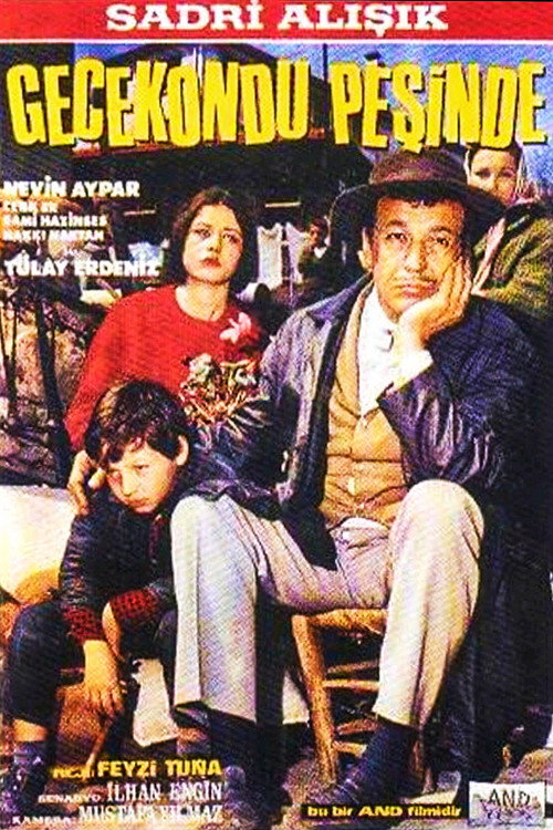 Póster de Gecekondu Peşinde
