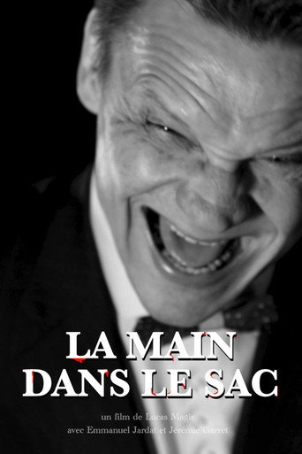 Póster de La Main dans le sac