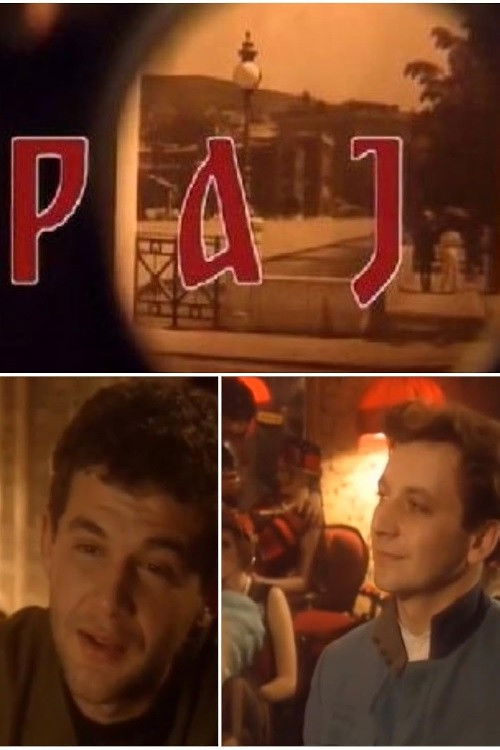Póster de Raj