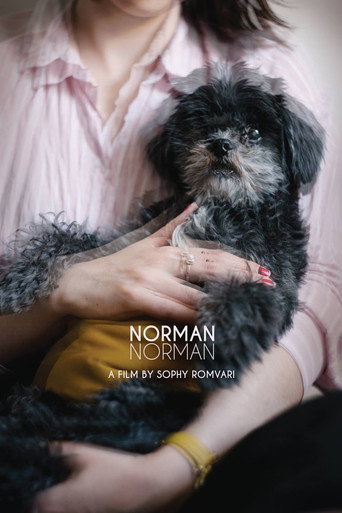 Póster de Norman Norman