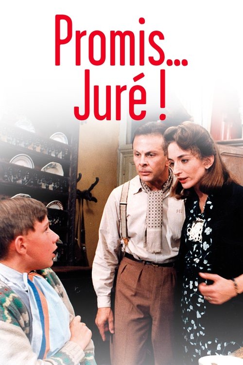 Póster de Promis... juré !