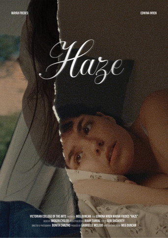 Póster de Haze