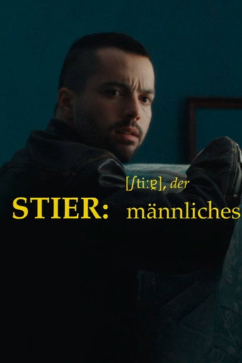 Póster de Stier