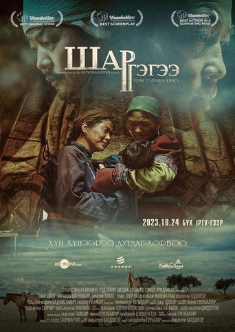 Póster de Шар гэгээ