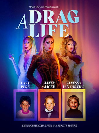 Póster de A Drag Life