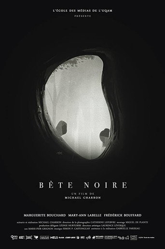 Póster de Bête noire