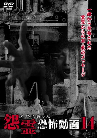 Póster de 本当にあった怨霊恐怖動画14
