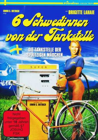 Póster de Sechs Schwedinnen von der Tankstelle