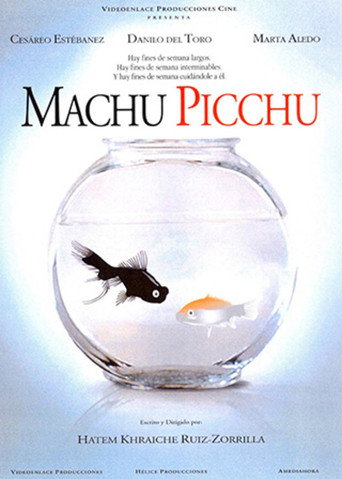 Póster de Machu Picchu