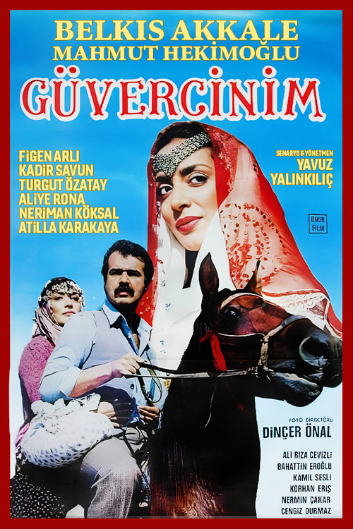 Póster de Güvercinim