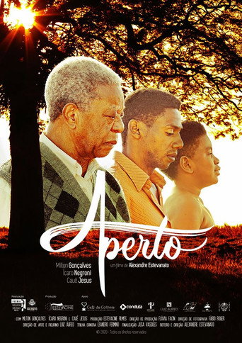 Póster de Aperto