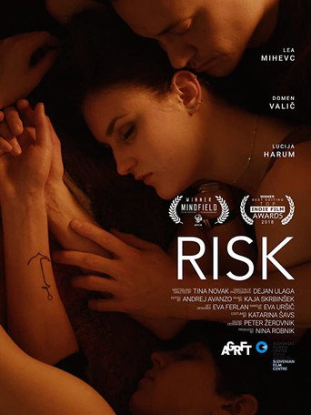 Póster de Risk