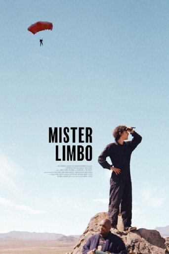 Póster de Mister Limbo