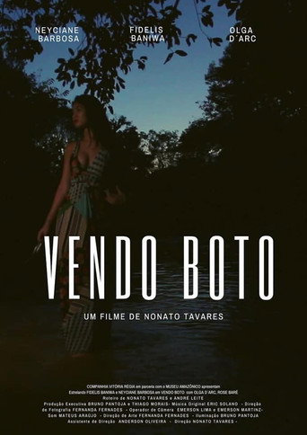 Póster de Vendo Boto