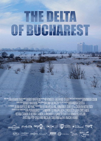 Póster de Delta Bucureștiului