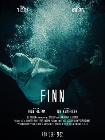 Póster de FINN